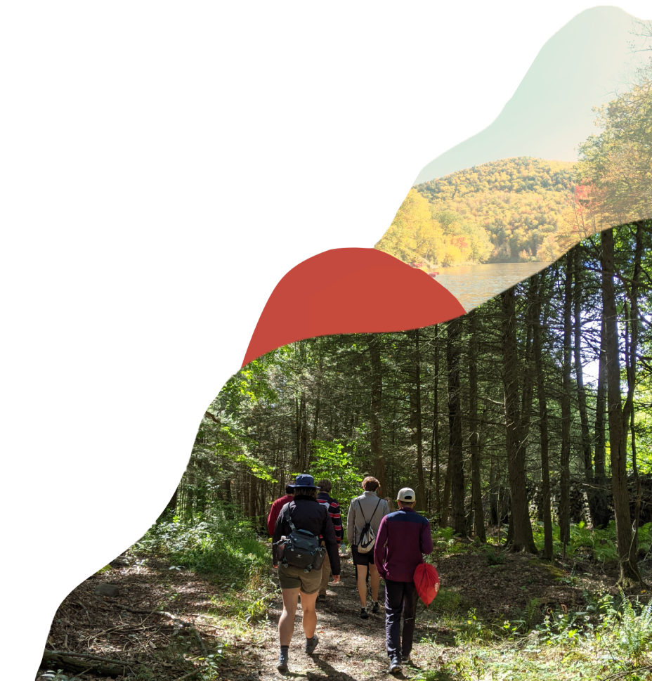 BOC members hiking a forest trail in New England
