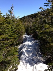 945743_10151492426145983_1939392734_n