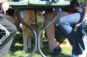 Screen Shot 2013-05-10 at 12.52.56 PM